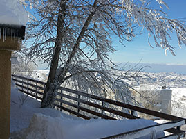 Gallery 06