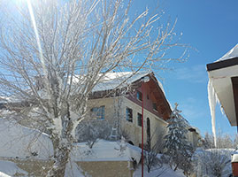 Gallery 05