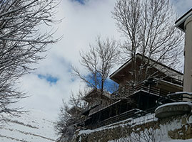 Gallery 03