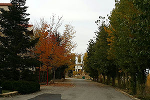Galerie