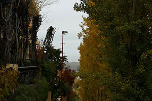 Galerie